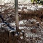 Ako hnojiť pôdu v skleníku Ako zmeniť hnoj v skleníku na jar