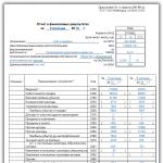Estado de resultados financieros simplificado Formulario para Okud 0710002 ejemplo de llenado del formulario