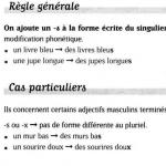 프랑스어로 남성과 여성 프랑스어로 형용사의 형성