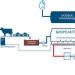 Urob si svojpomocne bioplynovú stanicu na splyňovanie doma Ako získať metánový plyn doma