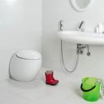 Ducha higiénica para inodoro: tipos, características de diseño y reglas de conexión.