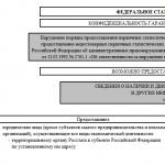 Marco legislativo de la Federación de Rusia Procedimiento para completar el formulario 11 de estadísticas de transacciones